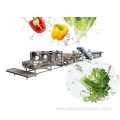 Fruit And Vegetable Process Machines